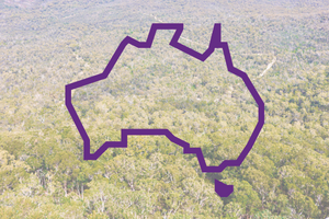 outline of Australia over trees